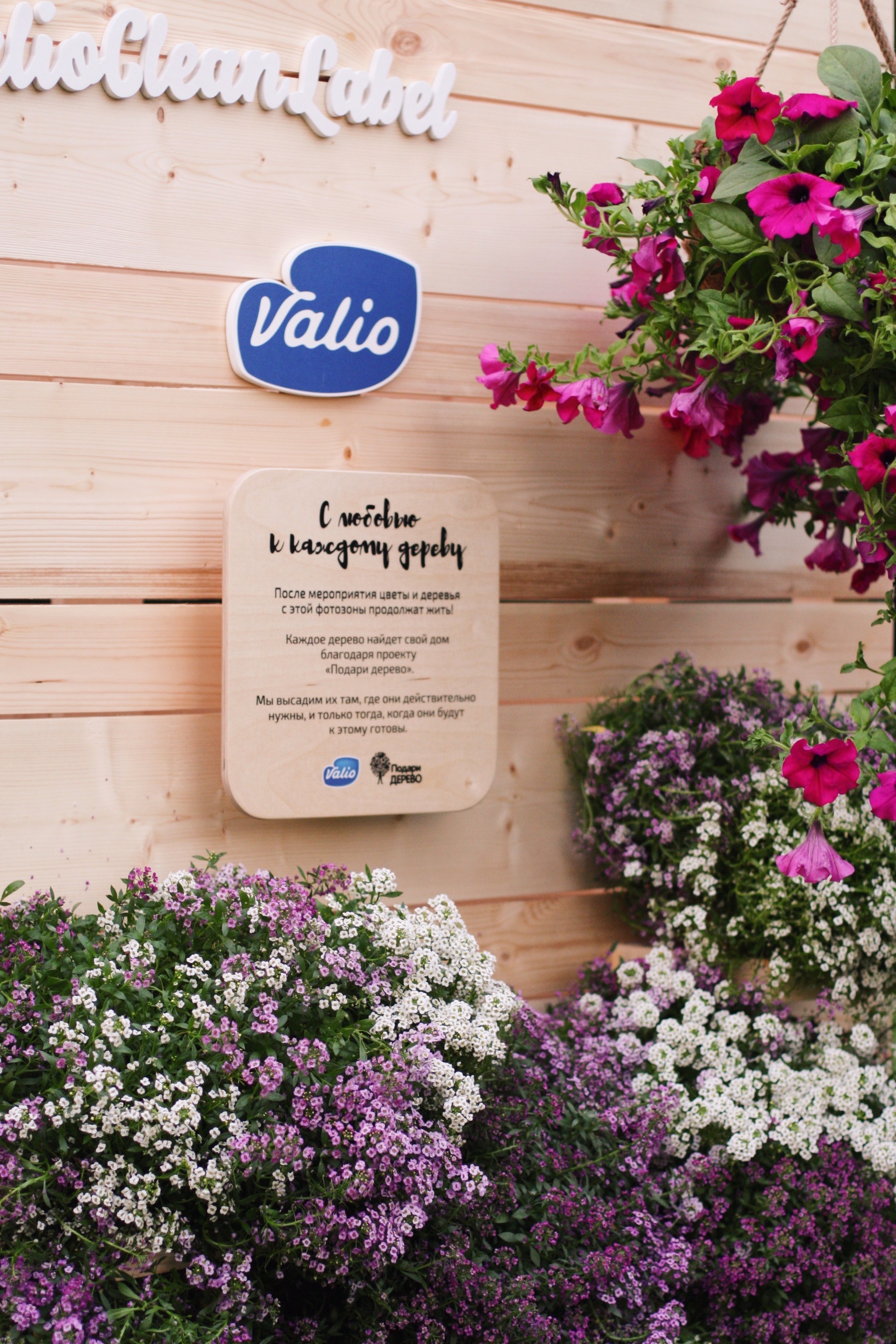 Фотозона Valio на фестивале Geek Picnic