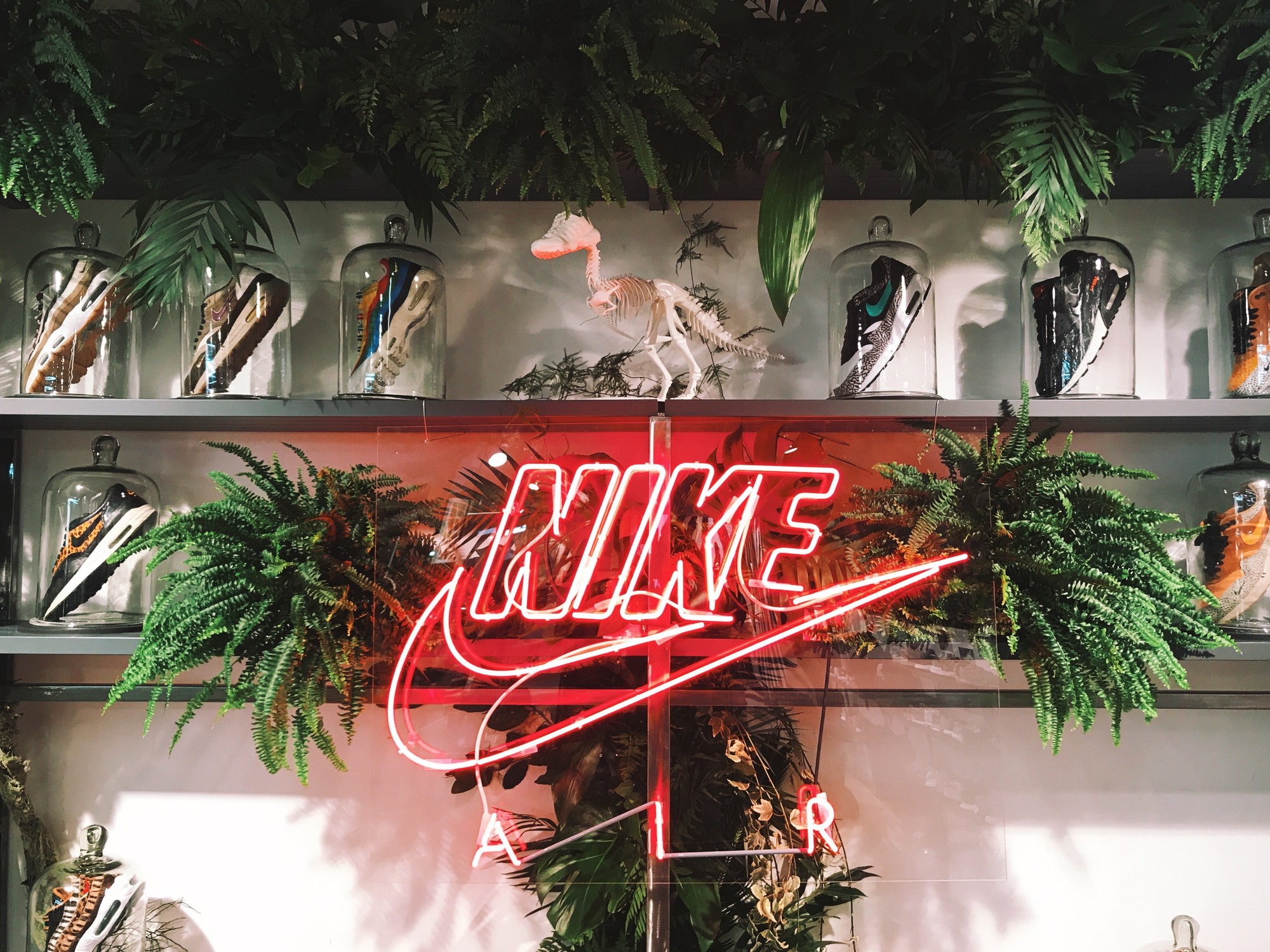 Презентация новой коллекции NIKE