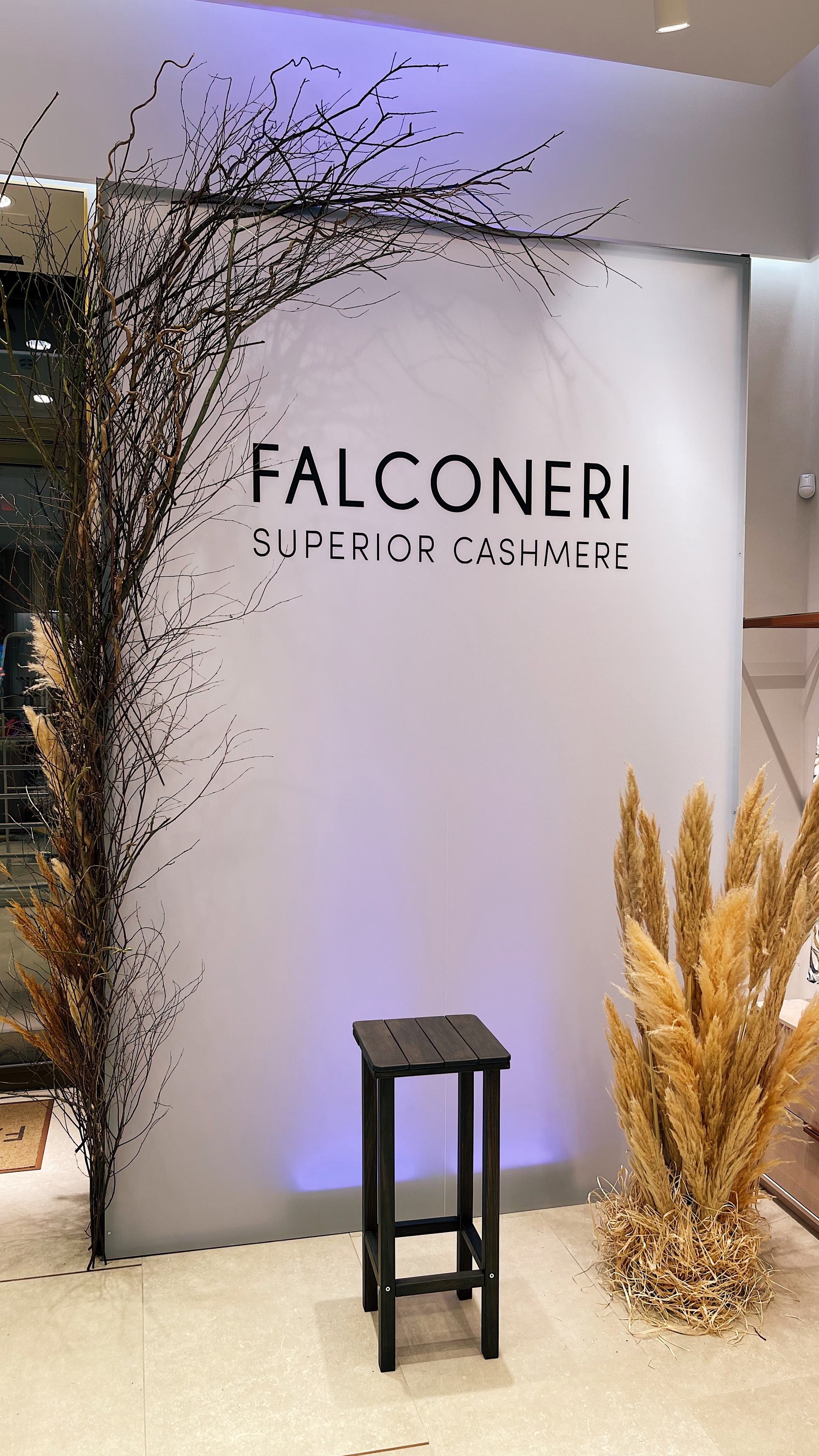 Оформление презентации Falconeri x Reveri