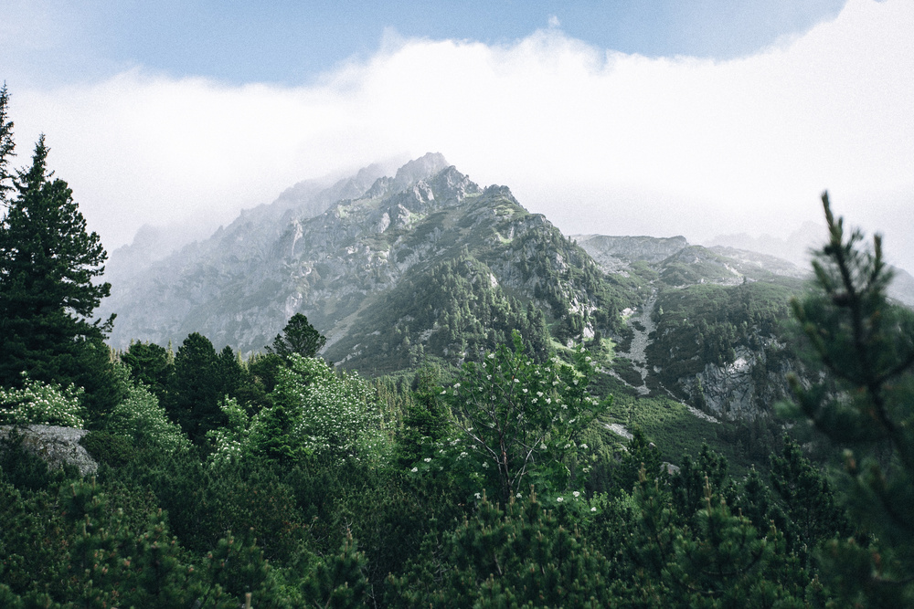 Slovakia | Natasha & Andrey