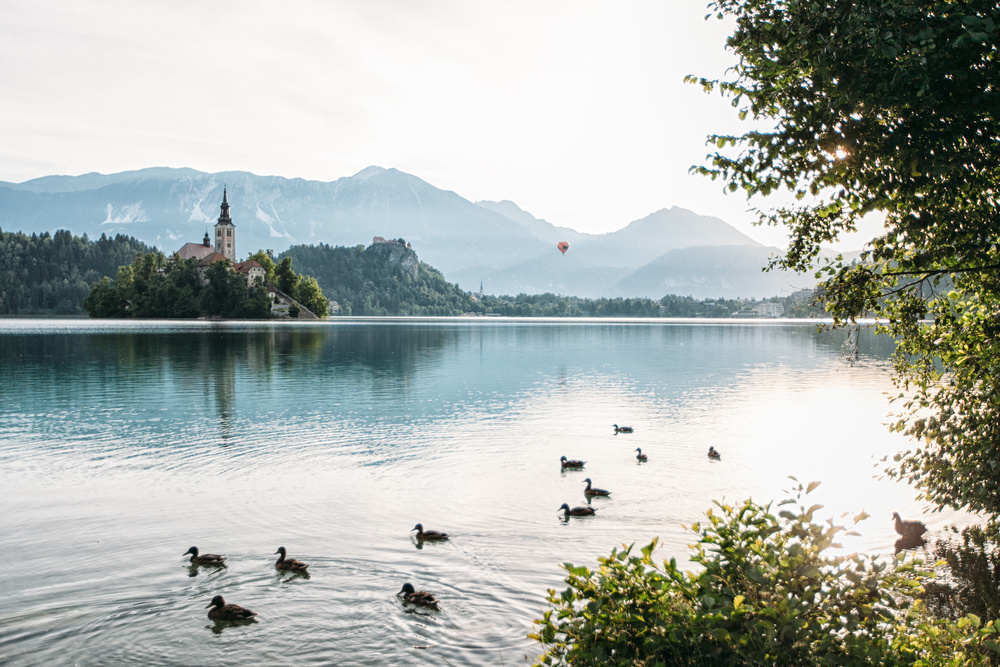 Slovenia, lake Bled | Natasha & Andrey
