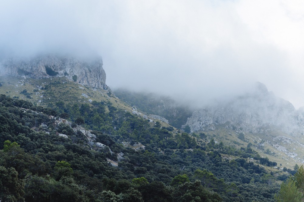 Gorg Blau, Mallorca | Raquel & Alex