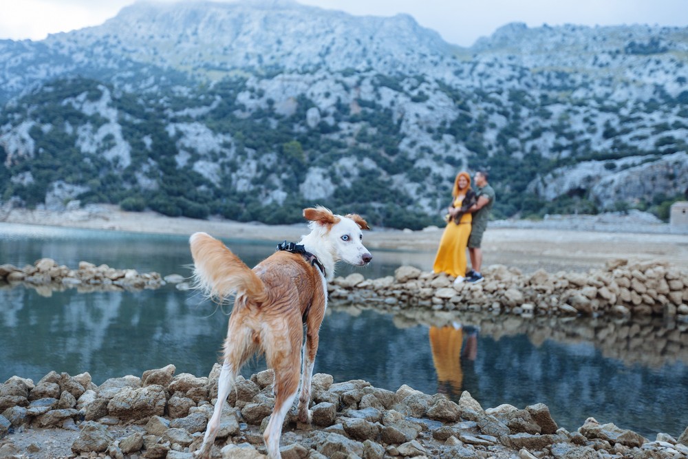 Gorg Blau, Mallorca | Raquel & Alex