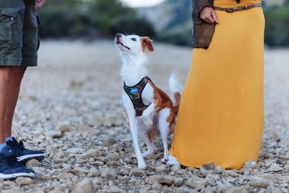 Gorg Blau, Mallorca | Raquel & Alex