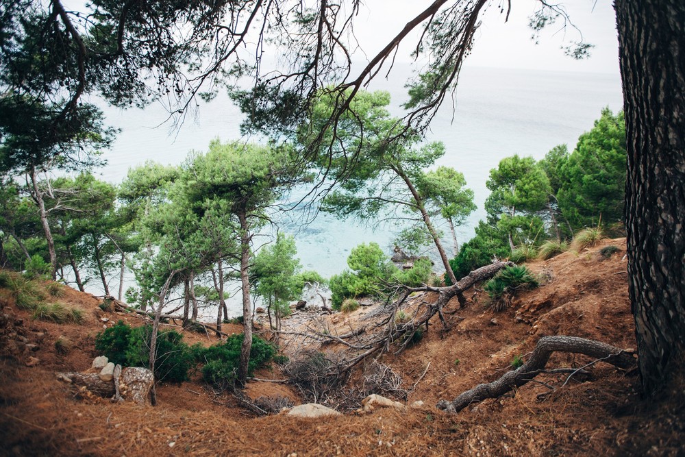 Wedding tour in Mallorca | Yulia & Andrey 