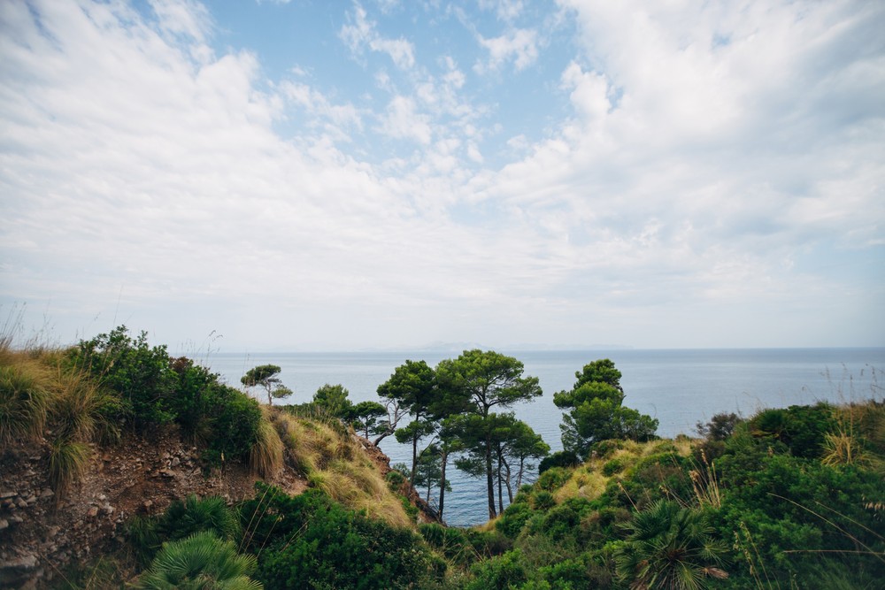 Wedding tour in Mallorca | Yulia & Andrey 