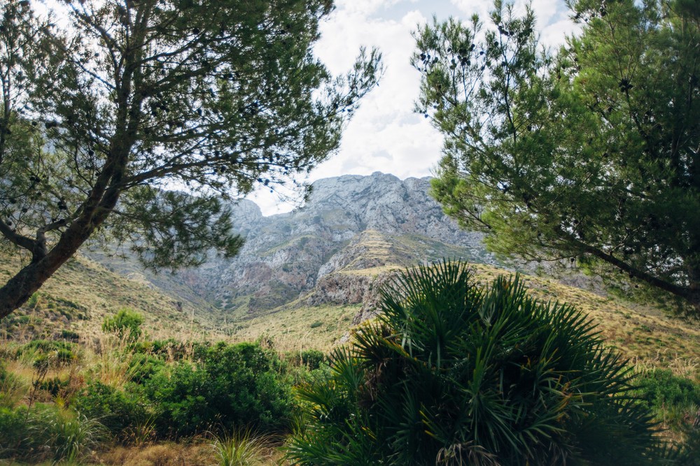 Wedding tour in Mallorca | Yulia & Andrey 