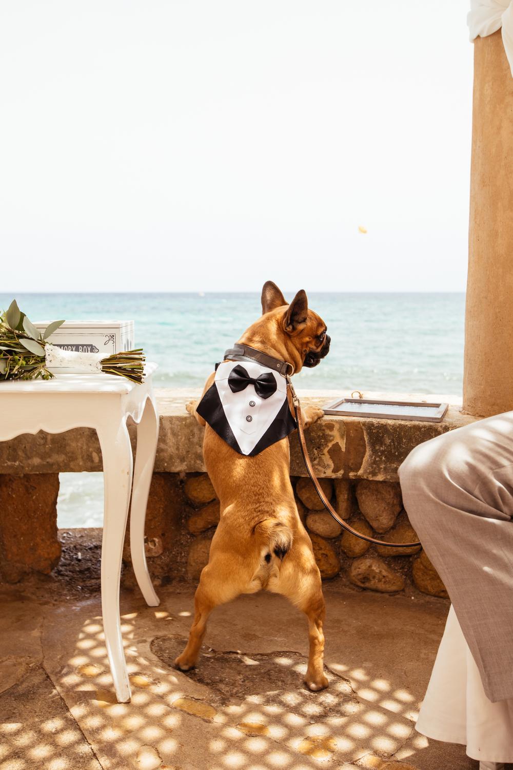 Cala Millor, Spain | Anja & Tobias 