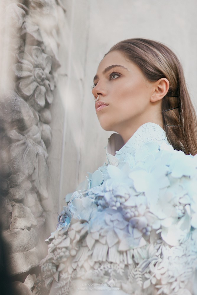 Model's Folio