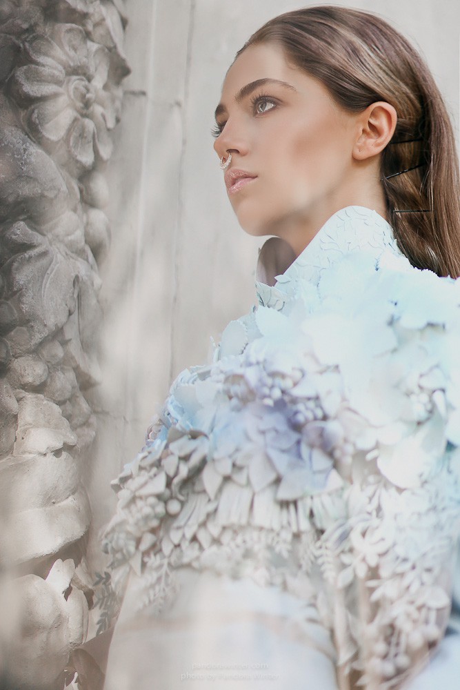 Model's Folio