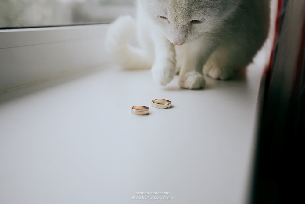 Марина и Костя 2015