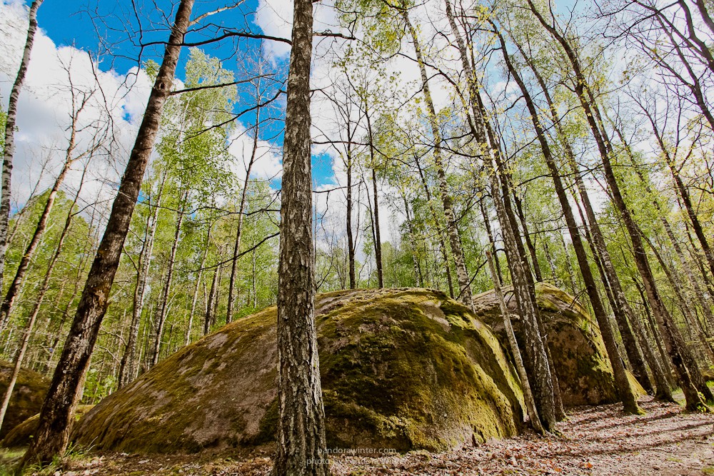 Каменное Село 2015