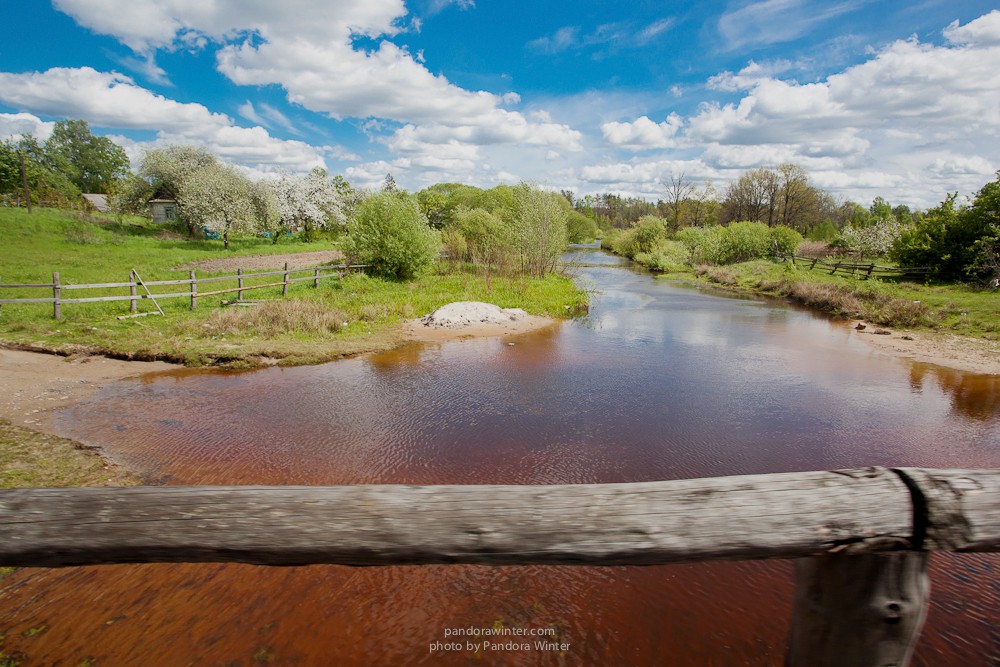Каменное Село 2015