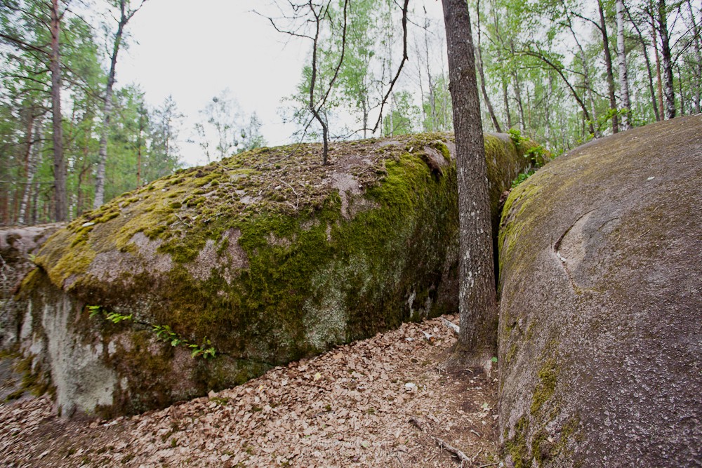 Каменное Село 2015