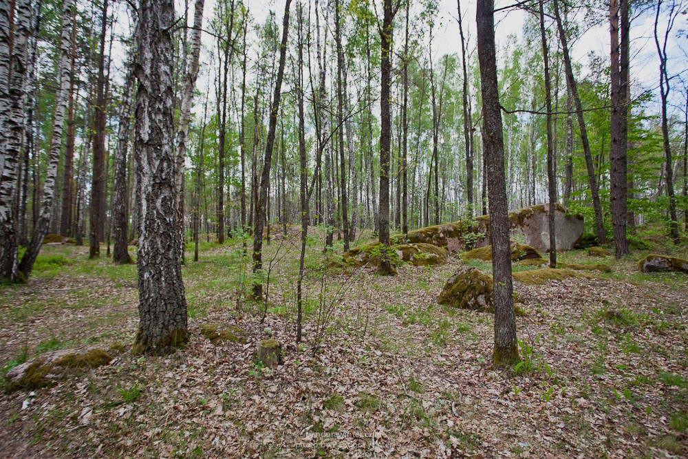 Каменное Село 2015