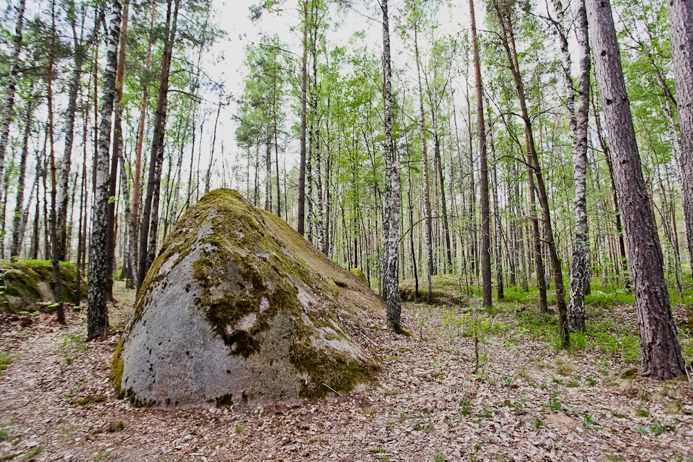 Каменное Село 2015