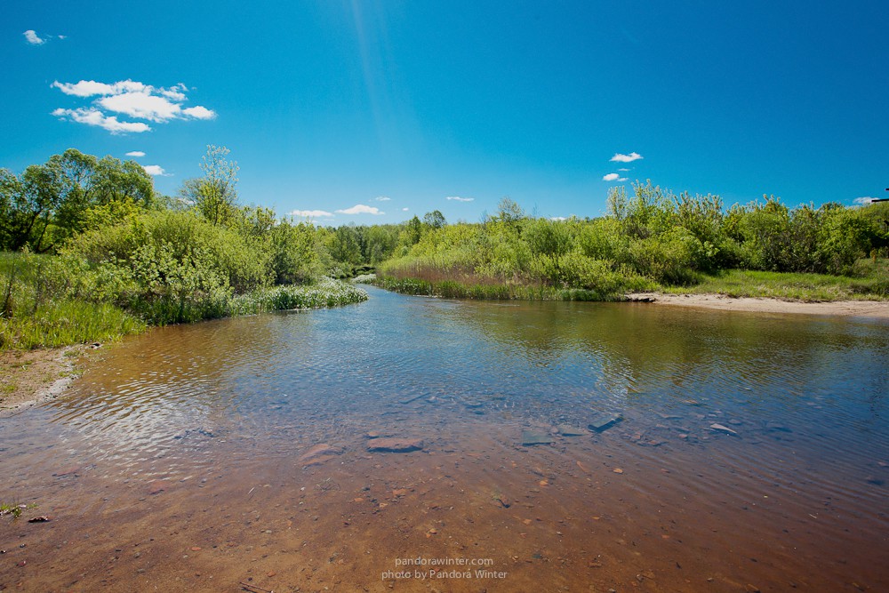 Каменное Село 2015