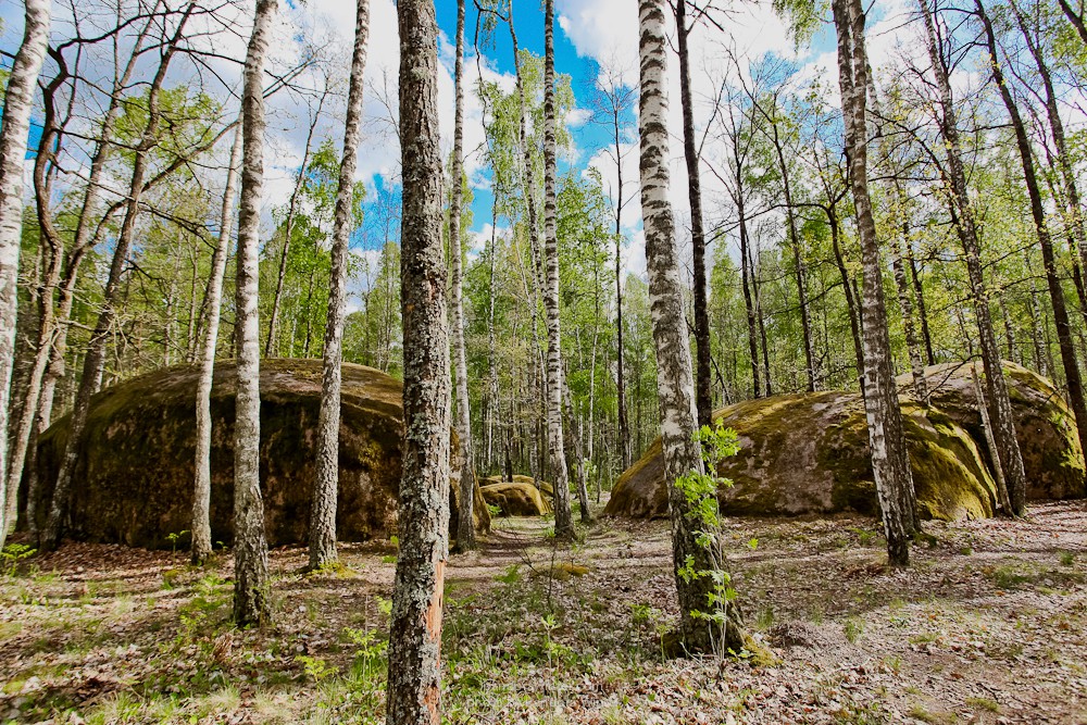 Каменное Село 2015