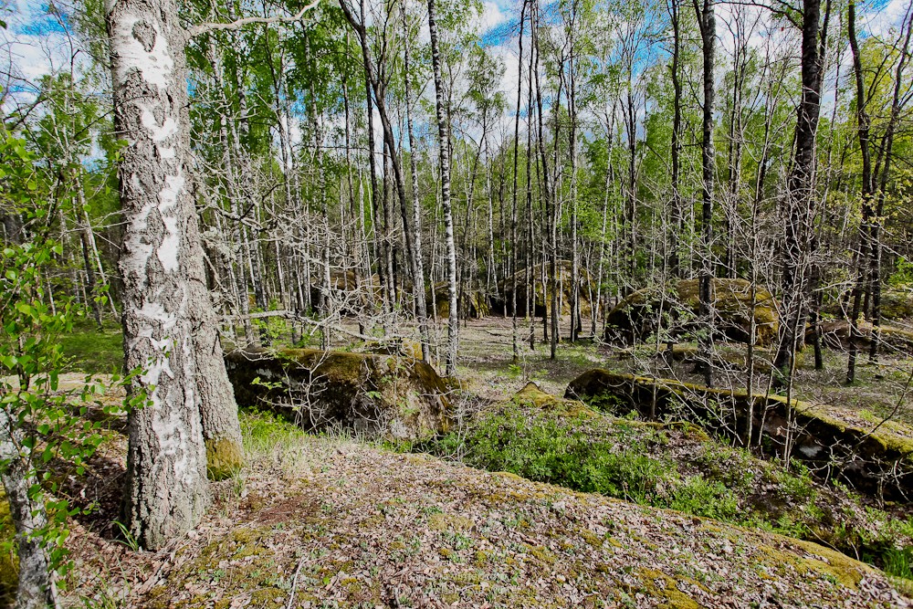 Каменное Село 2015