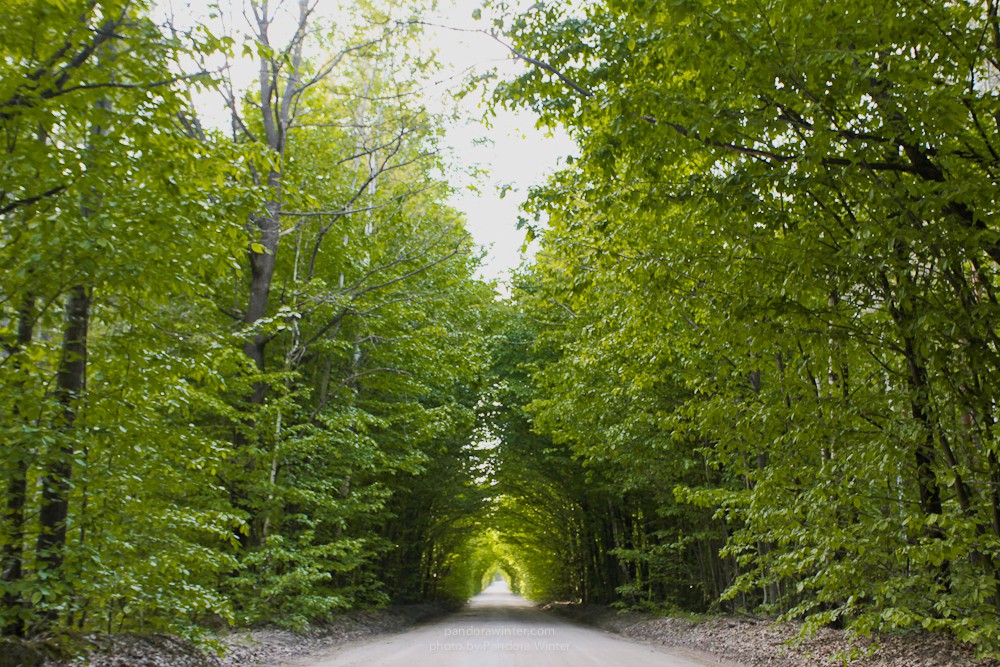 Каменное Село 2015