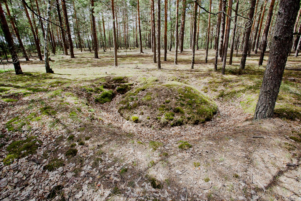 Каменное Село 2015
