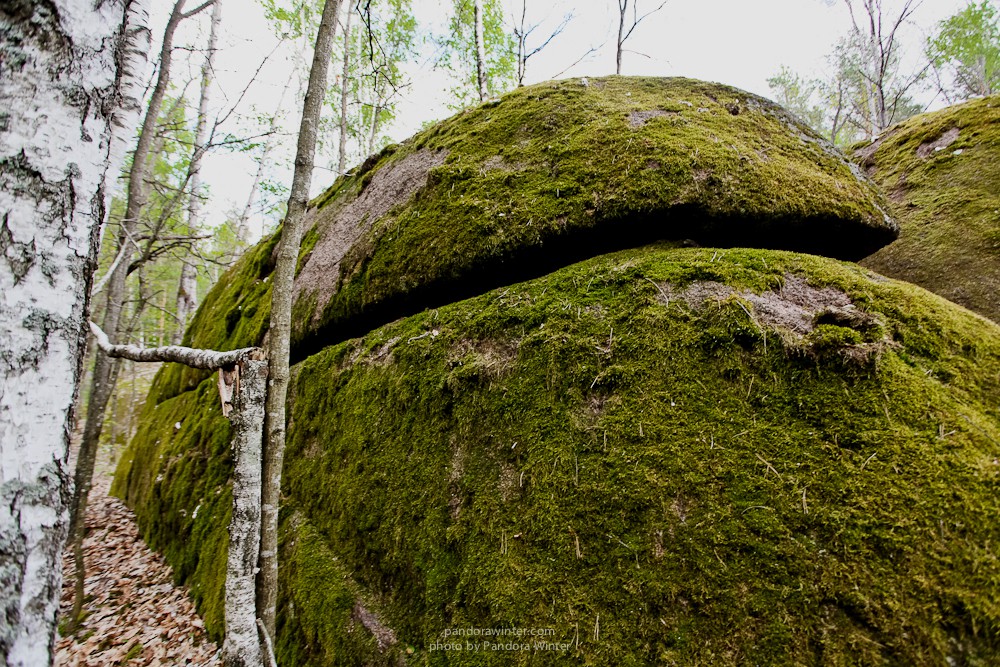 Каменное Село 2015