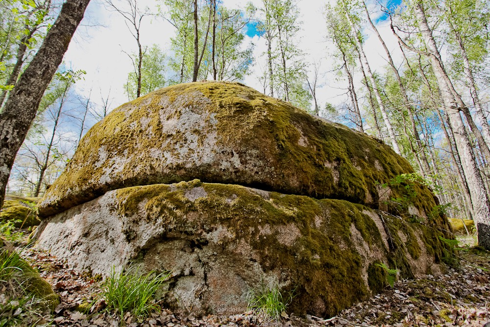 Каменное Село 2015