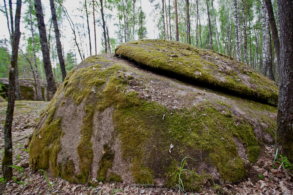 Каменное Село 2015