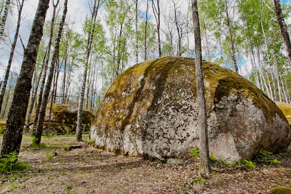 Каменное Село 2015
