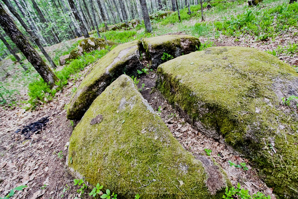 Каменное Село 2015