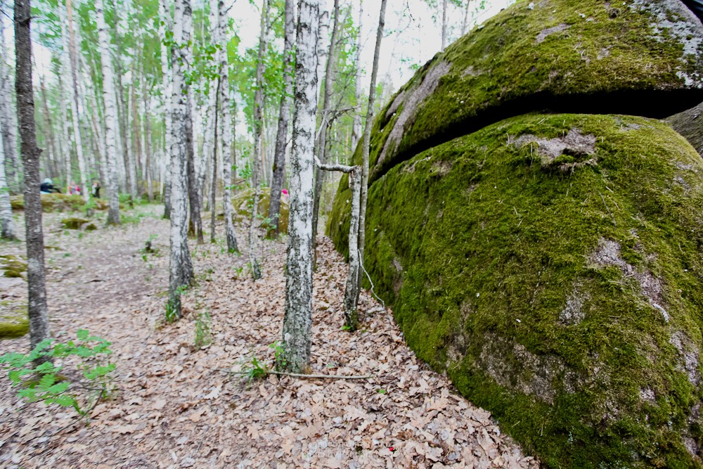 Каменное Село 2015