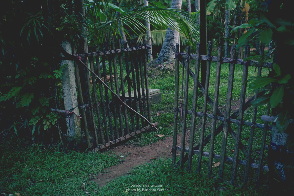 Шри Ланка, Коггала