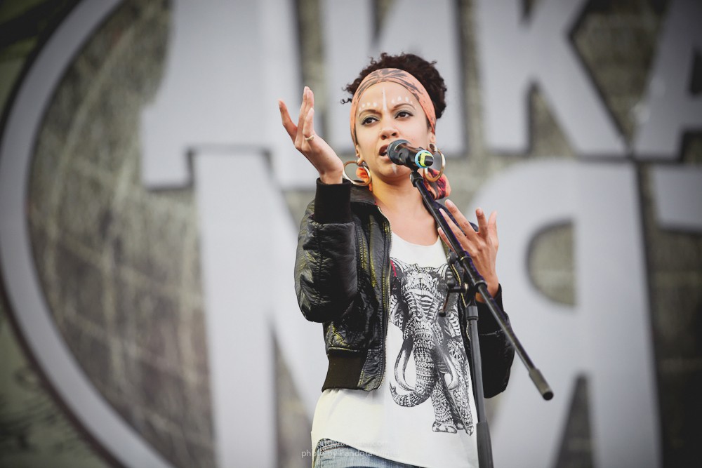 WILD MINT FEST@ Этномир, Калужская обл., 13/14/15-06-2014  