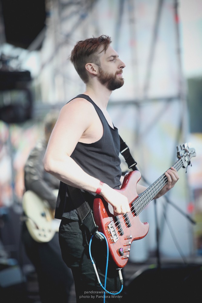 WILD MINT FEST@ Этномир, Калужская обл., 13/14/15-06-2014  