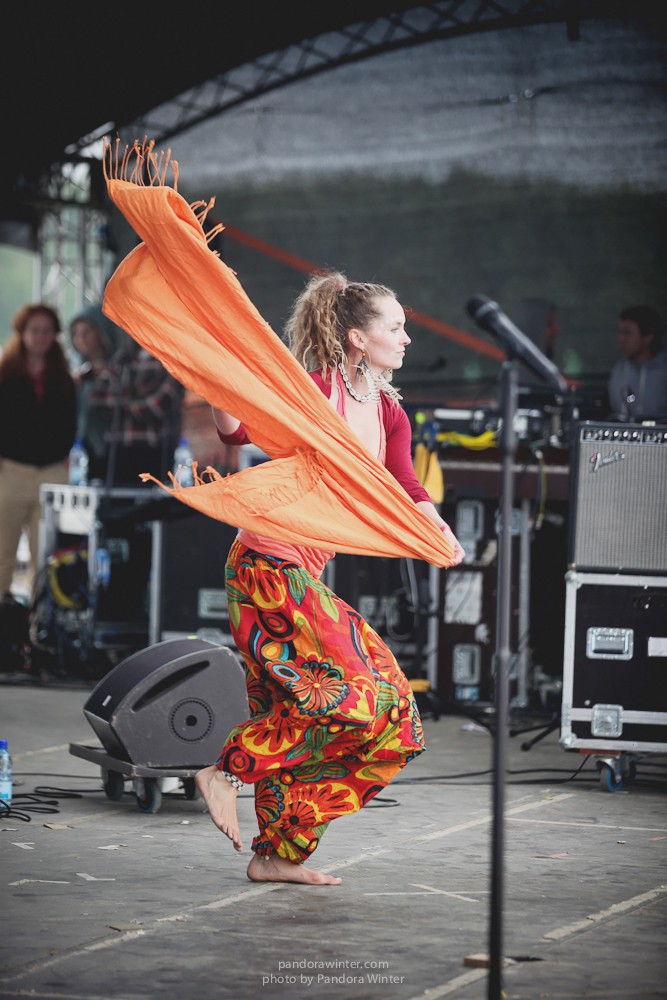 WILD MINT FEST@ Этномир, Калужская обл., 13/14/15-06-2014  