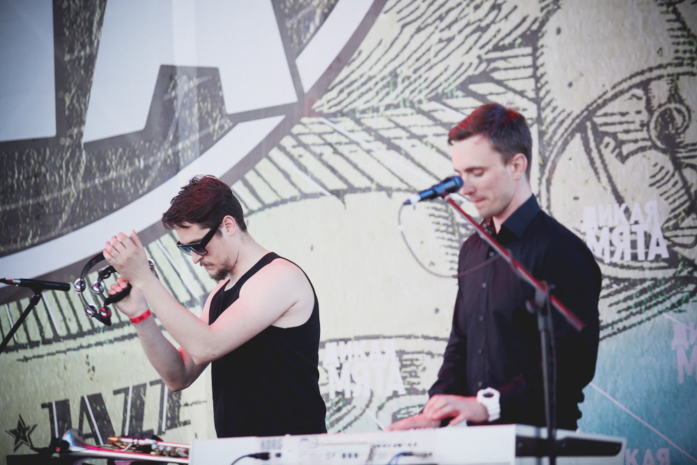 WILD MINT FEST@ Этномир, Калужская обл., 13/14/15-06-2014  