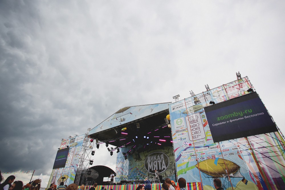 WILD MINT FEST@ Этномир, Калужская обл., 13/14/15-06-2014  