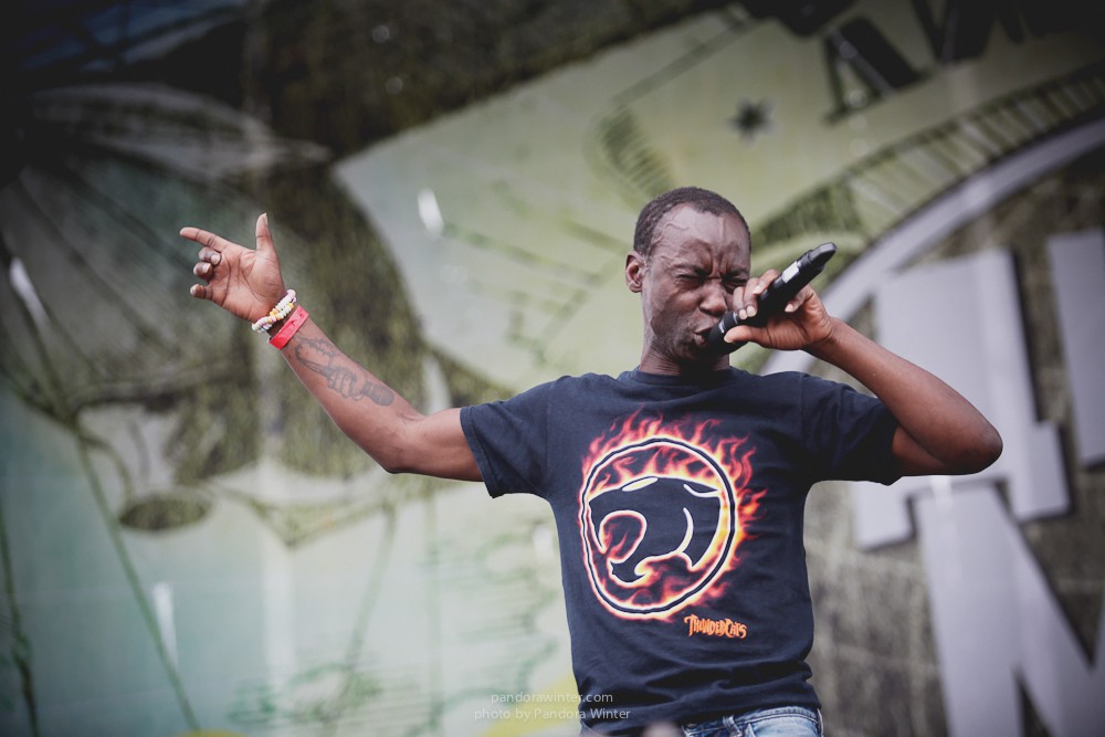 WILD MINT FEST@ Этномир, Калужская обл., 13/14/15-06-2014  