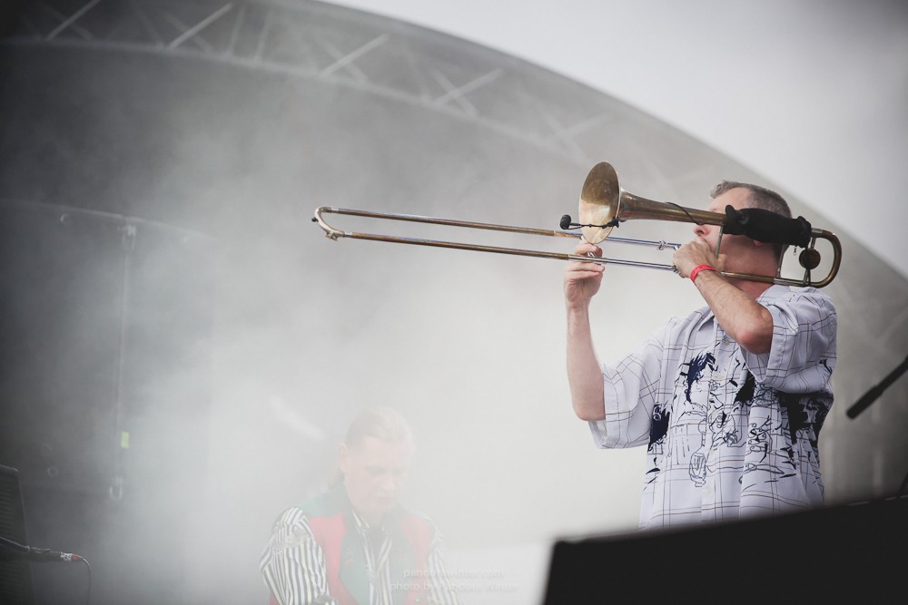 WILD MINT FEST@ Этномир, Калужская обл., 13/14/15-06-2014  