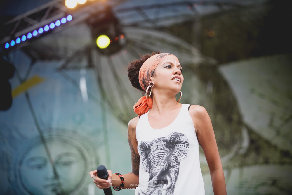 WILD MINT FEST@ Этномир, Калужская обл., 13/14/15-06-2014  
