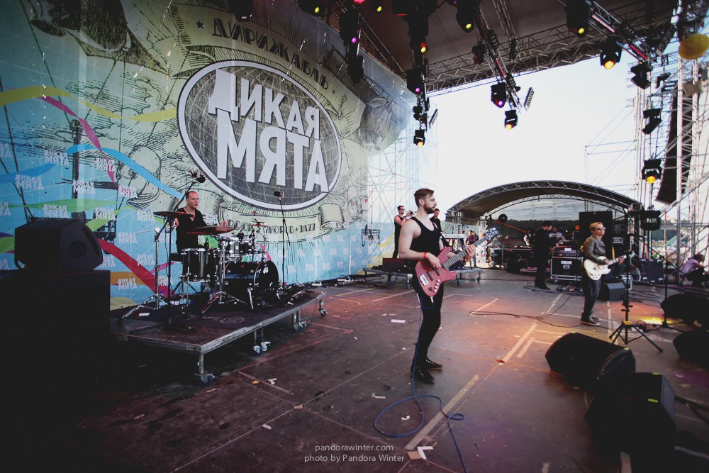 WILD MINT FEST@ Этномир, Калужская обл., 13/14/15-06-2014  