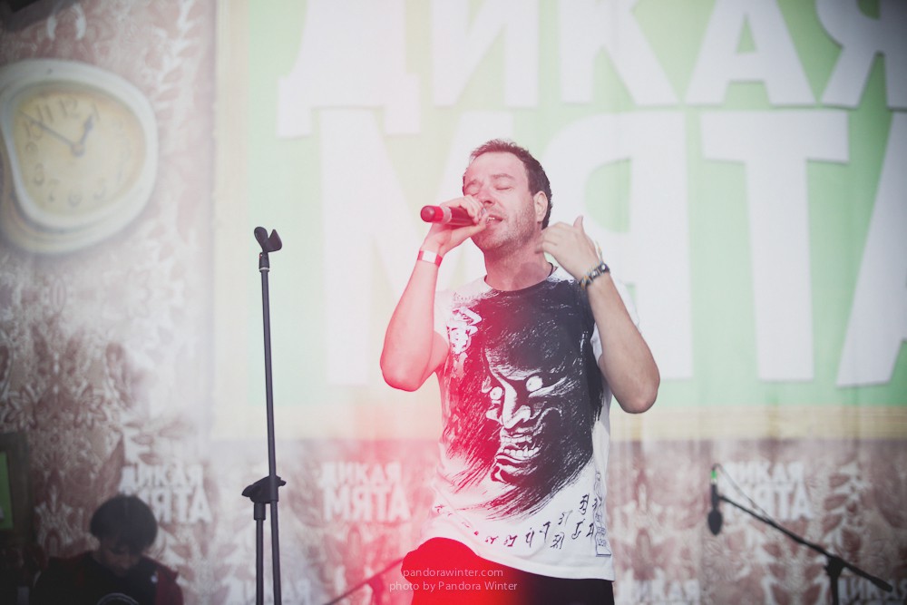 WILD MINT FEST@ Этномир, Калужская обл., 13/14/15-06-2014  