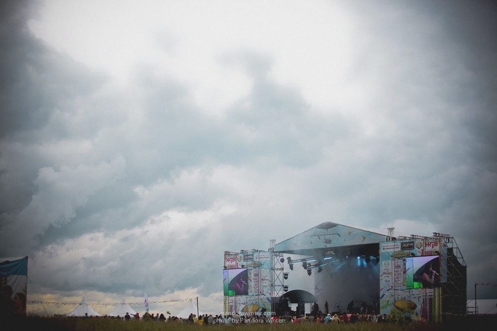 WILD MINT FEST@ Этномир, Калужская обл., 13/14/15-06-2014  