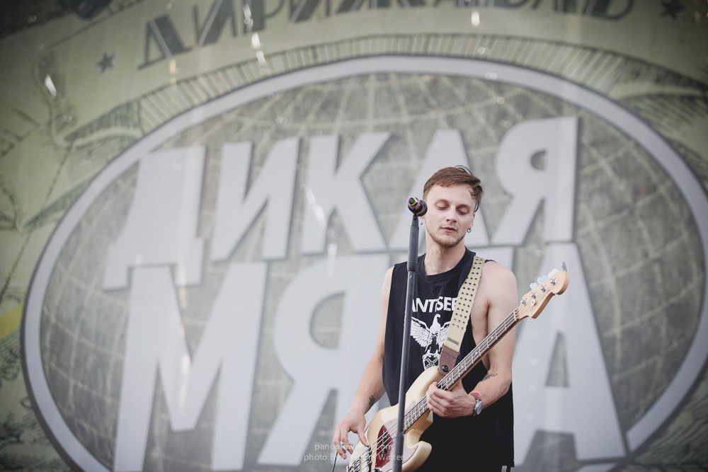WILD MINT FEST@ Этномир, Калужская обл., 13/14/15-06-2014  