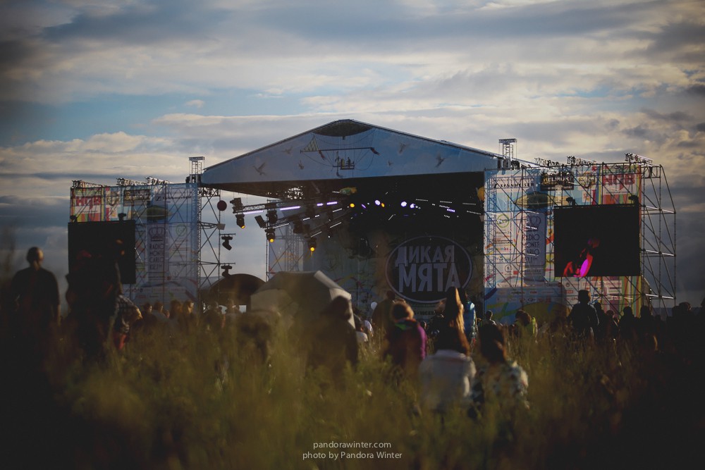WILD MINT FEST@ Этномир, Калужская обл., 13/14/15-06-2014  