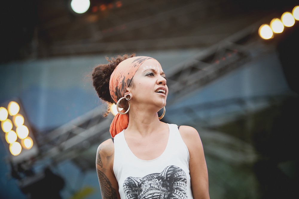 WILD MINT FEST@ Этномир, Калужская обл., 13/14/15-06-2014  