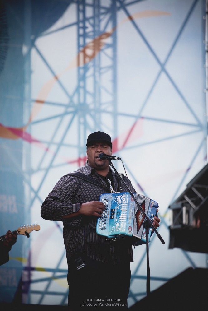 WILD MINT FEST@ Этномир, Калужская обл., 13/14/15-06-2014  
