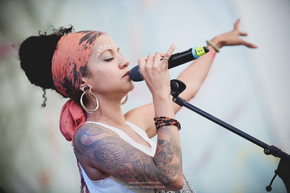 WILD MINT FEST@ Этномир, Калужская обл., 13/14/15-06-2014  