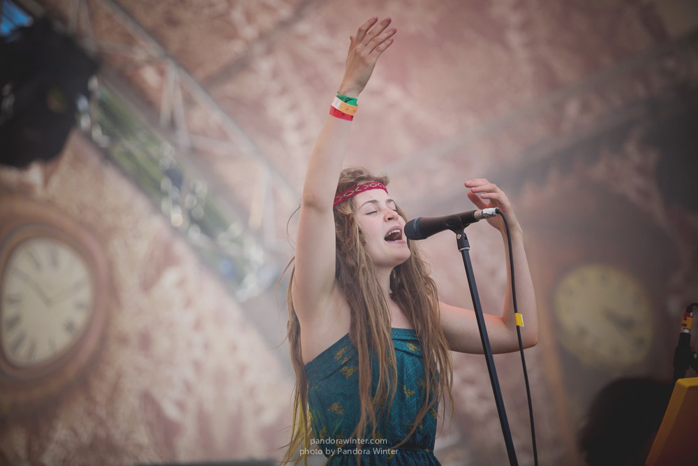 WILD MINT FEST@ Этномир, Калужская обл., 13/14/15-06-2014  