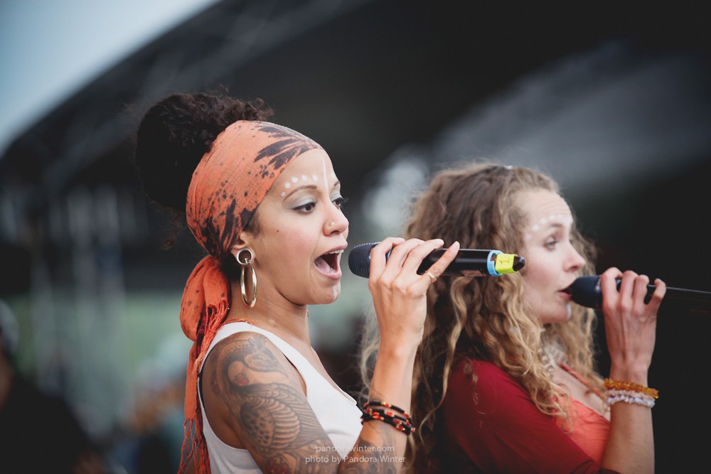 WILD MINT FEST@ Этномир, Калужская обл., 13/14/15-06-2014  